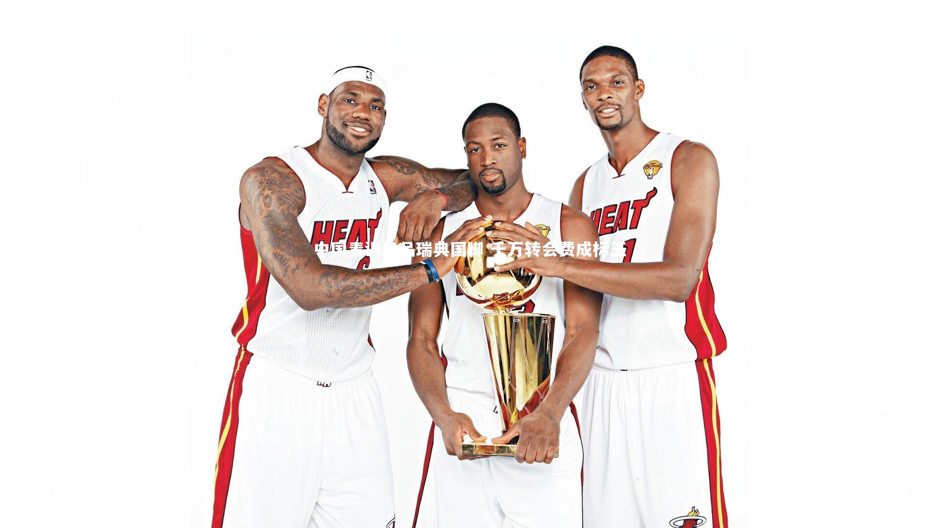 中国青训出品瑞典国脚 千万转会费成标王